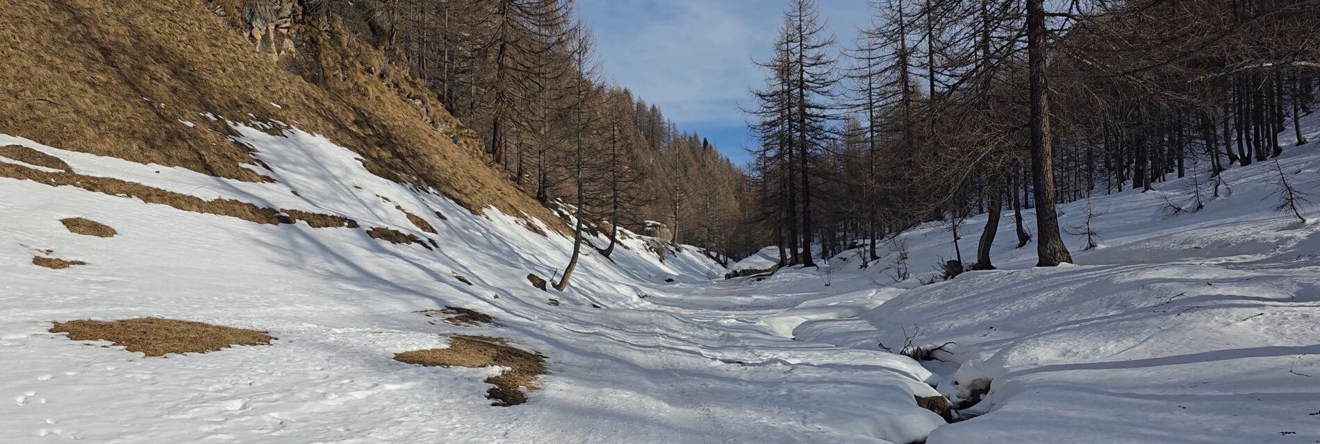 VideoCapture_20241219-222551